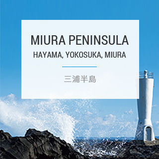MIURA PENINSULA HAYAMA, YOKOSUKA, MIURA